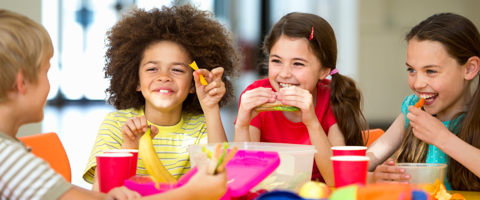 What is the Child and Adult Care Food Program (CACFP)?