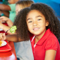 The Power of the Supplemental Nutrition Program for Women, Infants and Children (WIC)